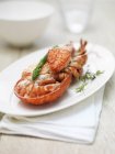 Portion of dressed lobster meat on plate — Stock Photo