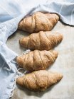 Row of fresh baked croissants on table — Stock Photo