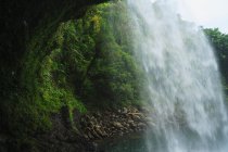 Вид на водопад сзади с лесом на заднем плане — стоковое фото
