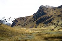 Мальовничий вид на високий перевал в напрямку Urubamba гірський хребет, Перу — стокове фото