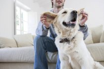 Young man on living room sofa holding ears of golden retriever dog — Stock Photo