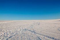 Snowcovered hill with footprints — Stock Photo