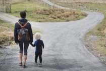 Mãe e filho andando na estrada rural de mãos dadas, visão traseira — Fotografia de Stock