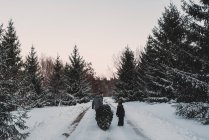 Отец и дочь уходят за своей елкой. — стоковое фото