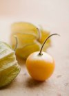 Close up shot of physalis fruit — Stock Photo