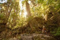 Garçon escalade sur les rochers dans la forêt — Photo de stock