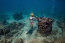 Visão subaquática da mulher no mergulho no fundo do mar, Oahu, Havaí, EUA — Fotografia de Stock