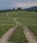 Сельская дорога в поле — стоковое фото