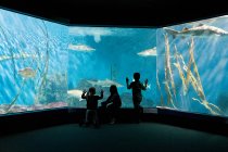Children watching fish in aquarium — Stock Photo