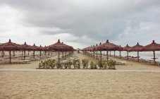 Rows of beach umbrellas and sun loungers on beach — Stock Photo