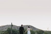 Bride and groom in arid landscape, holding hands rear view — Stock Photo