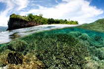 Geteilte Ansicht des Korallenriffs gegen Bäume und Himmel mit Wolken — Stockfoto