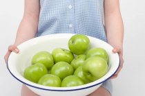 Дитина тримає миску стиглих зелених яблук — стокове фото