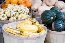 Various autumn seasonal vegetables in baskets — Stock Photo
