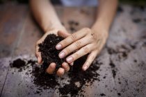 Cropped view of hands holding soil — Stock Photo