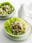 Plate of rice and vegetables in lettuce — Stock Photo