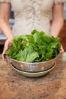 Frau hält Sieb mit frischen Salatblättern — Stockfoto
