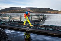 Travailleur dans une salmoniculture dans un lac rural — Photo de stock