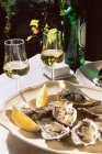 Plate of oysters with white wine glasses — Stock Photo
