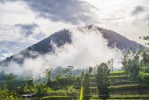Vapor del volcán sobre la colina verde, Bali, Indonesia - foto de stock