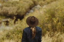 Жінка, що стоїть за течією, заднього виду, мінеральне цар, Національний парк Секвойя, Каліфорнія, США — стокове фото