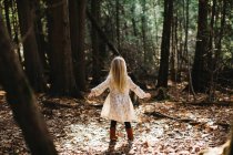 Вид сзади белокурой волосатой девушки в лесу — стоковое фото