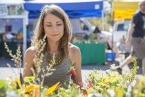 Frau am Marktstand betrachtet Pflanzen — Stockfoto