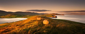 Pastoreo de ovejas en el paisaje rural - foto de stock
