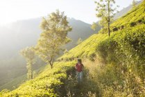Jovem caminhando em plantações de chá perto de Munnar, Kerala, Índia — Fotografia de Stock