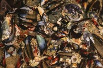 Mussel shells, Shi-Shi Beach, Olympic National Park, Washington, USA — Stock Photo