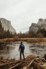 Rear view of male hiker looking out at mountain, Yosemite National Park, California, USA — Stock Photo