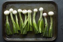Green onions on baking plate — Stock Photo
