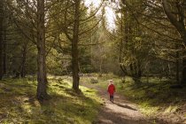 Jeune fille marchant à travers la forêt, vue arrière — Photo de stock