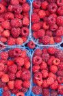 Ripe raspberries in containers, top view — Stock Photo