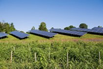 Solar panels in field — Stock Photo