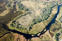 Delta dell'Okavango fuori Maun — Foto stock