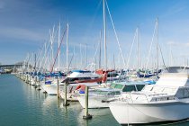 Observing view of Westhaven Marina, Auckland — Stock Photo