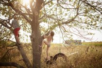 Junge und Mädchen klettern auf Baum — Stockfoto