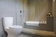 Moderno cuarto de baño interior con bañera, WC y mampara de ducha de vidrio - foto de stock