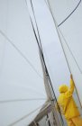 Вид сзади человека на лодке в желтых гидроизоляциях, опирающегося на парус — стоковое фото