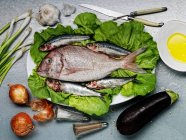 Pescado y hortalizas crudos - foto de stock