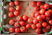 Вид зверху на стиглі помідори в картонній коробці — стокове фото