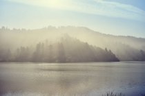 Freshwater lagoon in morning fog — Stock Photo