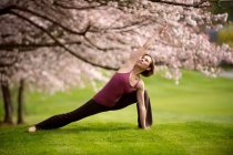 Mujer en posición de yoga de ángulo lateral bajo cerezo - foto de stock