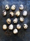 Quail eggs on rustic dark background — Stock Photo