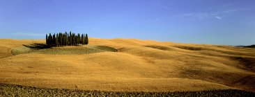 Scenic view of Orcia valley in summer — Stock Photo