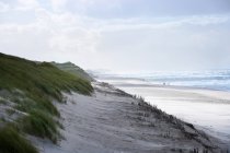 Dunas de arena y playa de Sylt - foto de stock