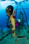 Scuba Diver on Shipwreck — Stock Photo