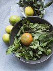 Top view of mint leaves and citrus fruit in bowl and on table — Stock Photo
