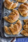 Freshly baked croissants in baking tin, top view — Stock Photo